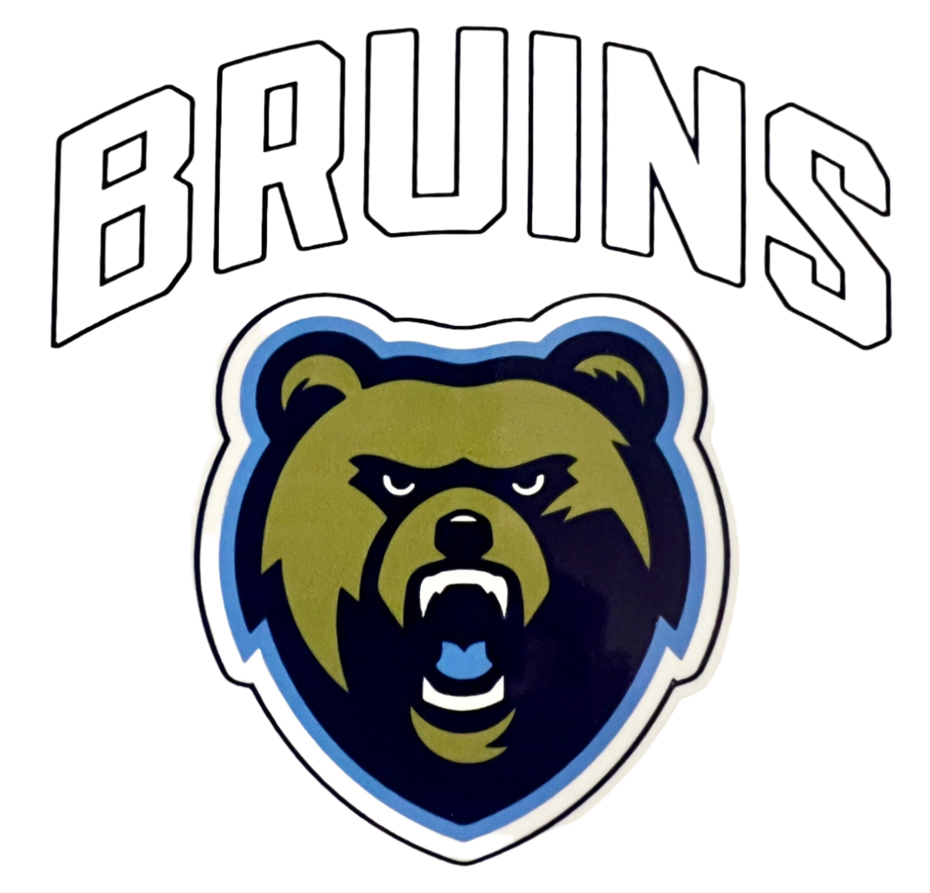 Sticker Arched BRUINS/Bear Head