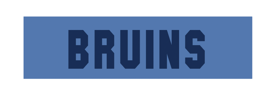 Headband (Light Blue) - Bruins