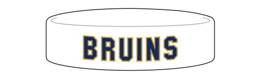 Headband (Whtie) - Bruins