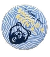 Button- U Already Know... Should Have Been a Bruin